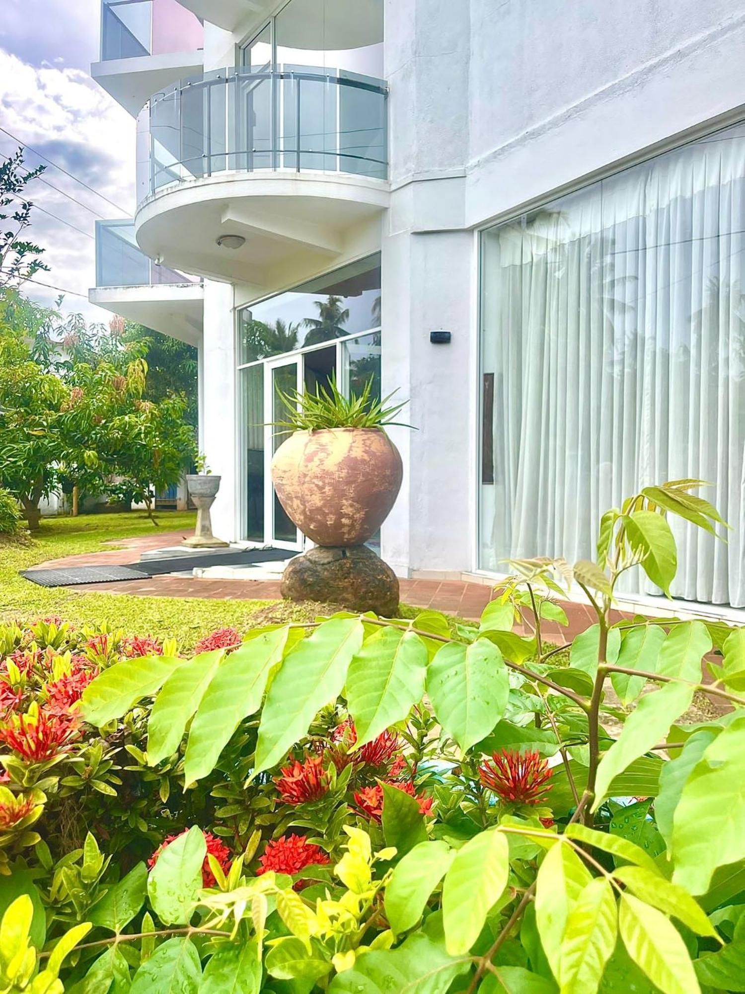 Amaya Beach Hotel Dikwella Exterior photo